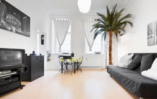 Palme Areca 3,0m